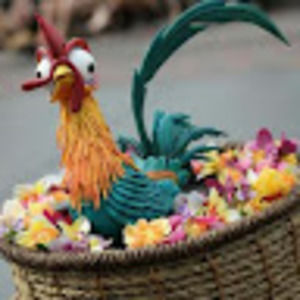 Meet your Posher, Alisha